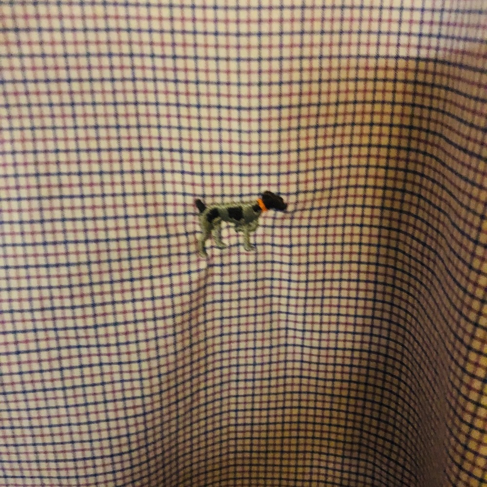 Southern Point Button Down - Picture 2 of 4